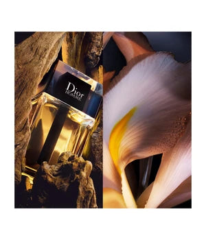 Dior Homme Eau de Toilette 100ml